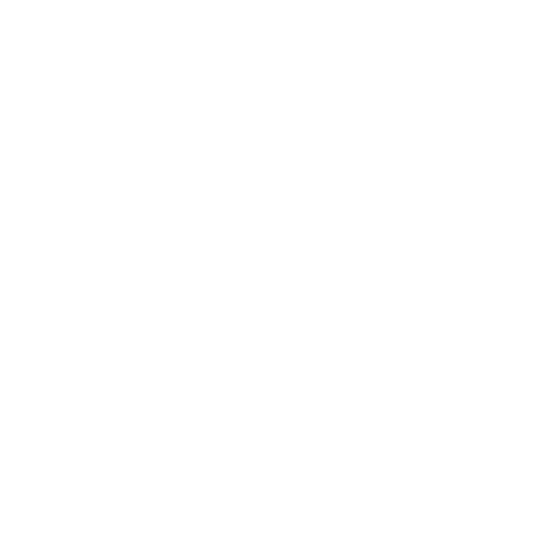 Professioneller Service